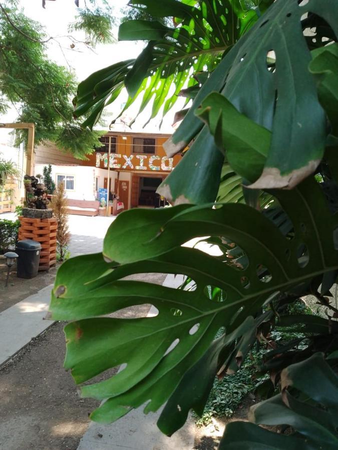 Casita Del Arbol * Mexico City