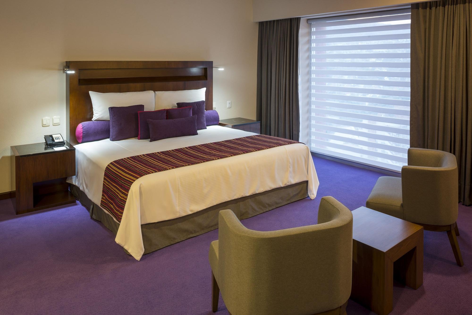 Camino Real Pedregal 5*
