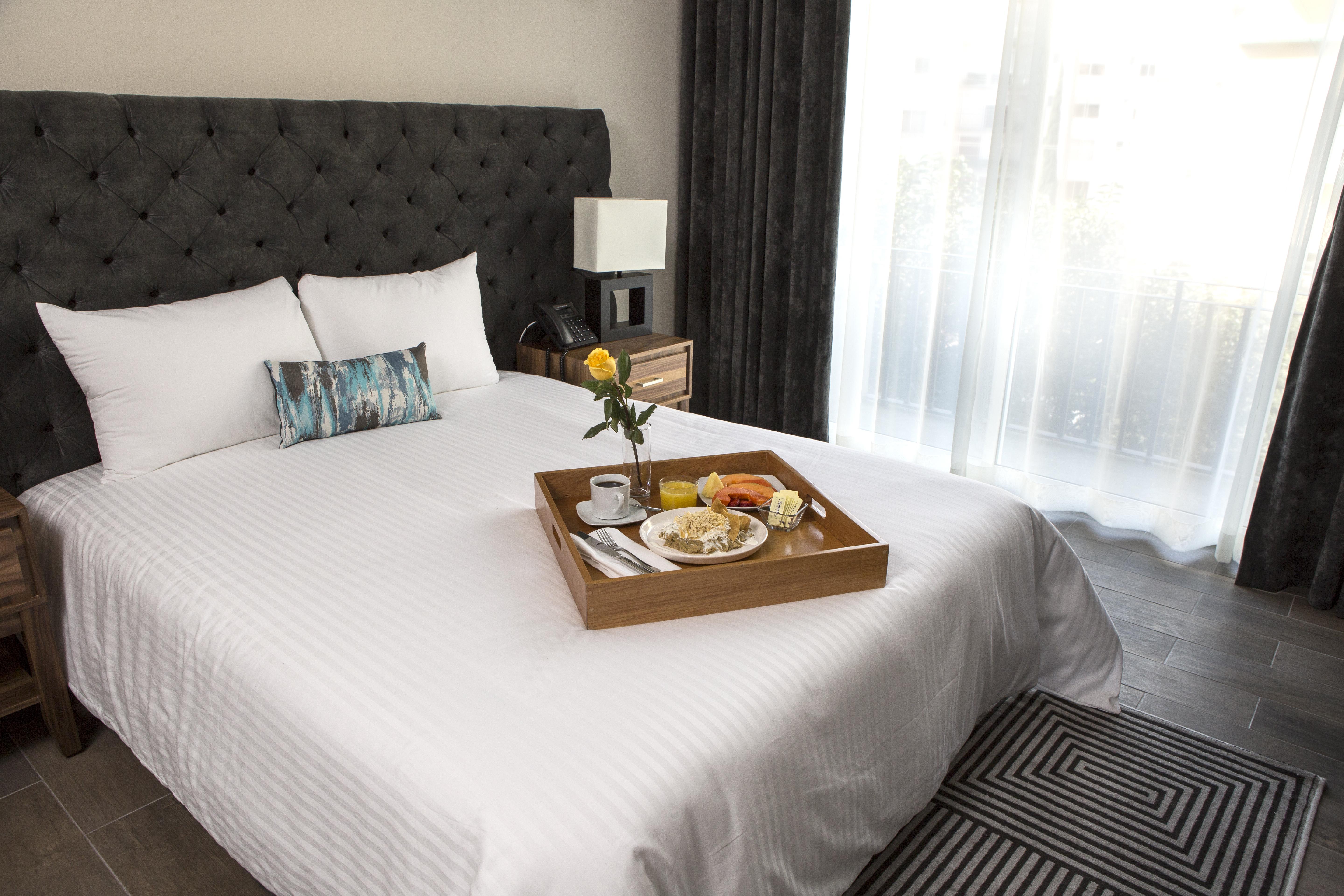 Apartment Rio Elba Mexico City