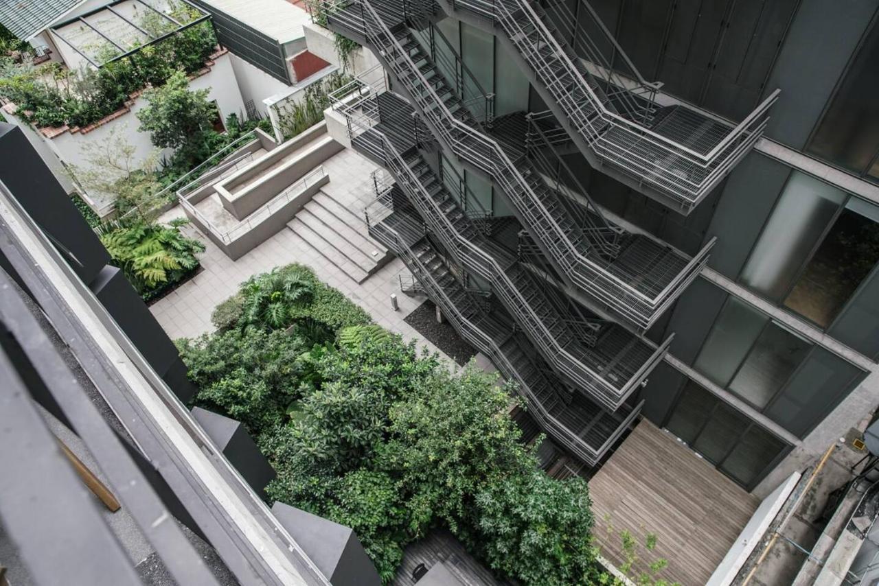Nest House Condesa Mexico City