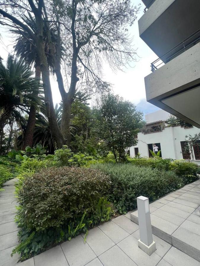 Nest House Condesa Apartment *