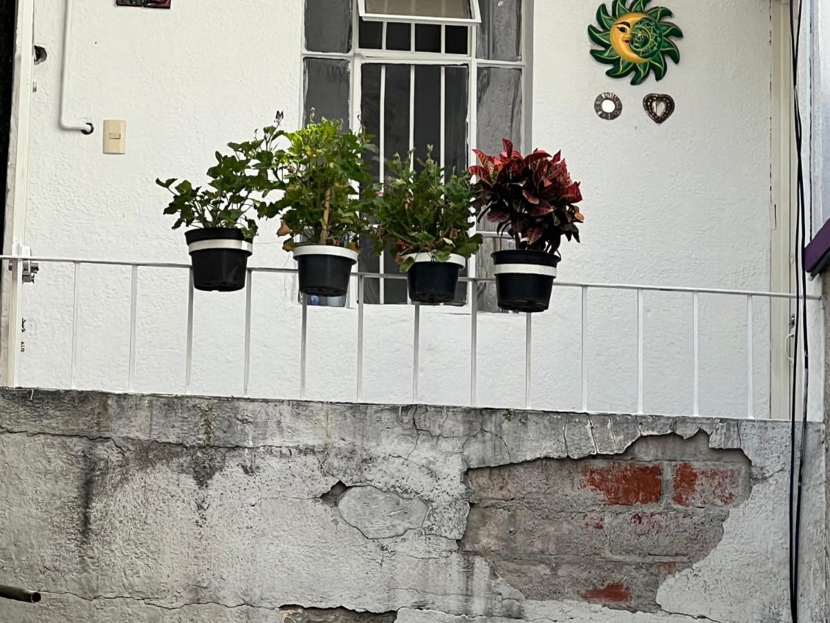 Condesa-roma Norte Charming Mexican Style *
