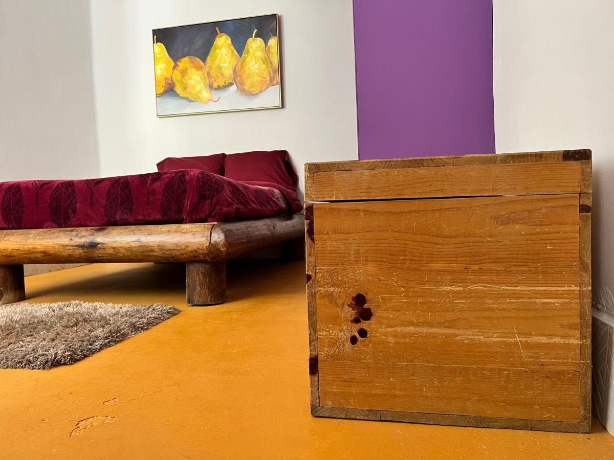 Condesa-roma Norte Charming Mexican Style Apartment