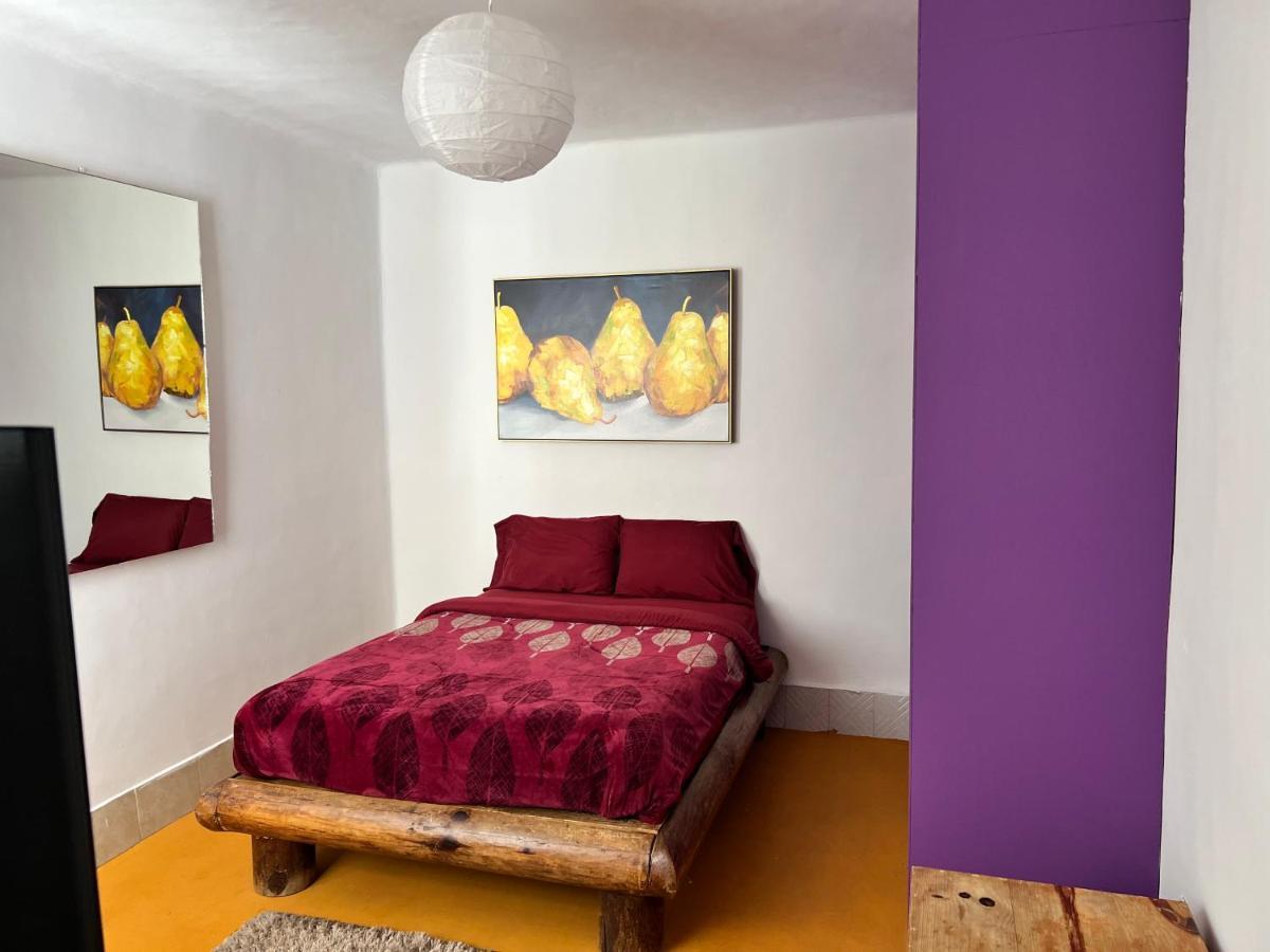 Apartment Condesa-roma Norte Charming Mexican Style *