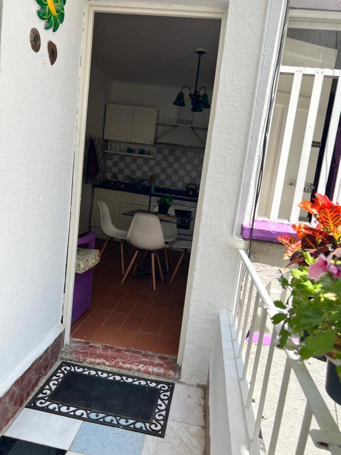 Condesa-roma Norte Charming Mexican Style Apartment
