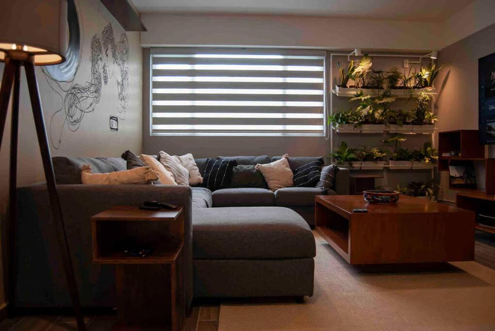Apartment Modern Artist Apt., Overlooking Parque Espana Mexico City