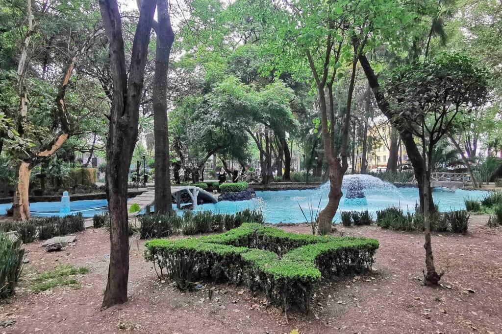 Modern Artist Apt., Overlooking Parque Espana Apartment Mexico City
