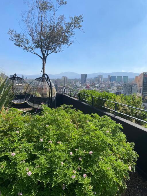 Apartment Luxury Loft In Polanco Area!