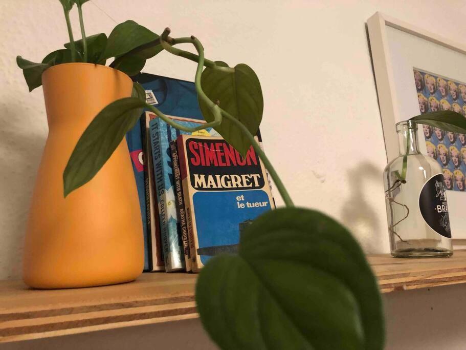 Loft Luminoso Apartamento *