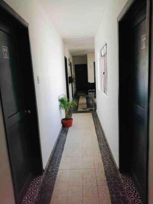 A5 Cuarto Con Bano Propio Condesa Amsterdam Homestay Mexico City