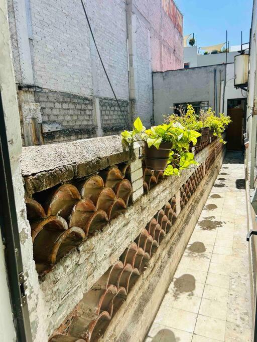 A5 Cuarto Con Bano Propio Condesa Amsterdam Homestay Mexico City