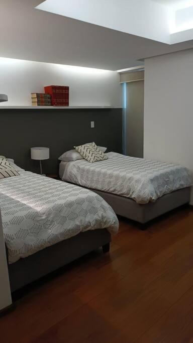 Polanco Amatista, Amplio Depto. En 2 Niveles Apartment *