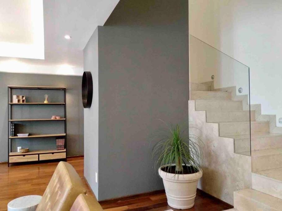 Apartment Polanco Amatista, Amplio Depto. En 2 Niveles *