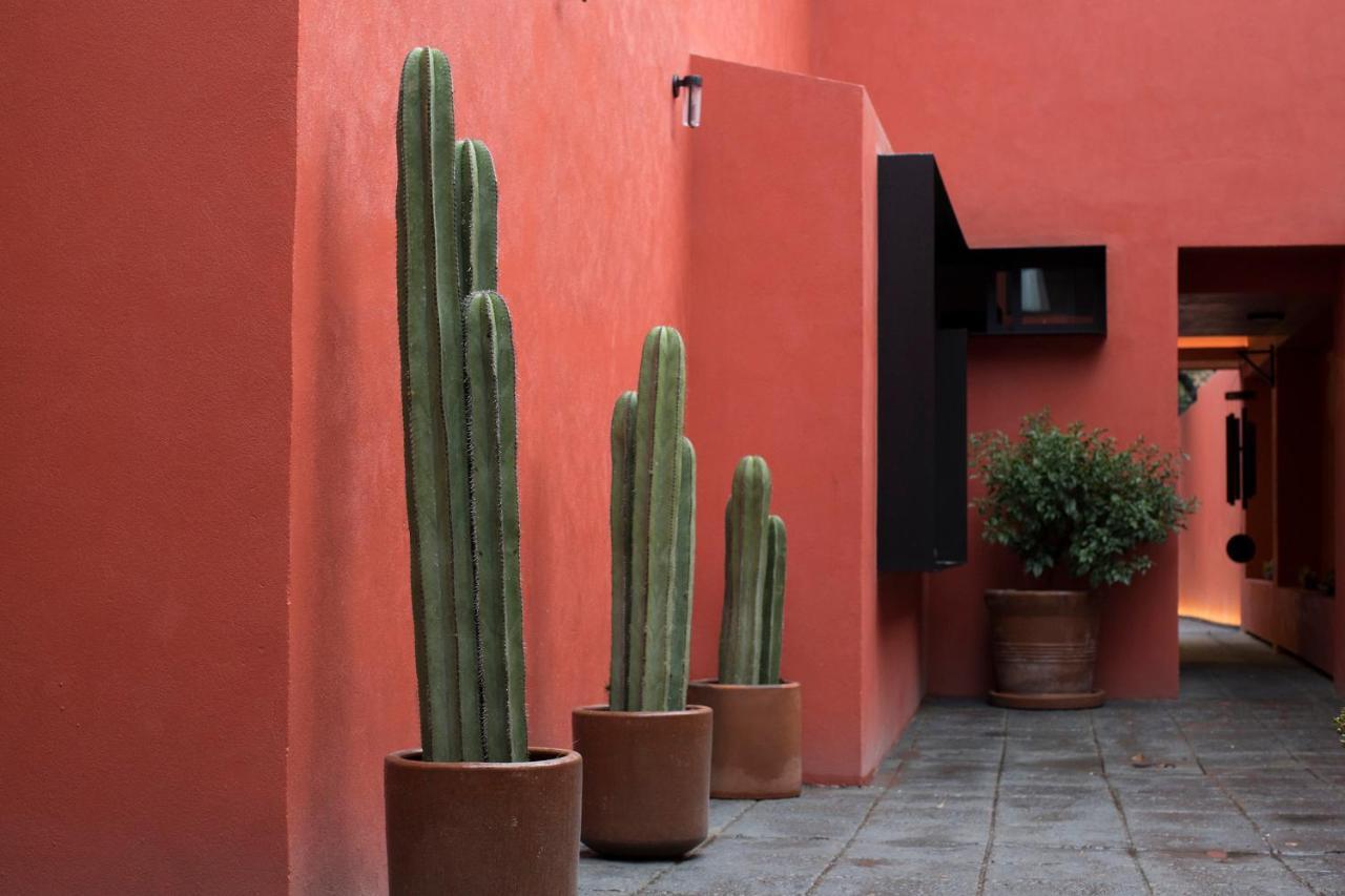 Hotel Tonalli Casa Boutique Mexico City