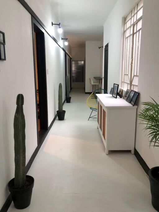 C1 Cuarto Condesa Amsterdam Homestay *