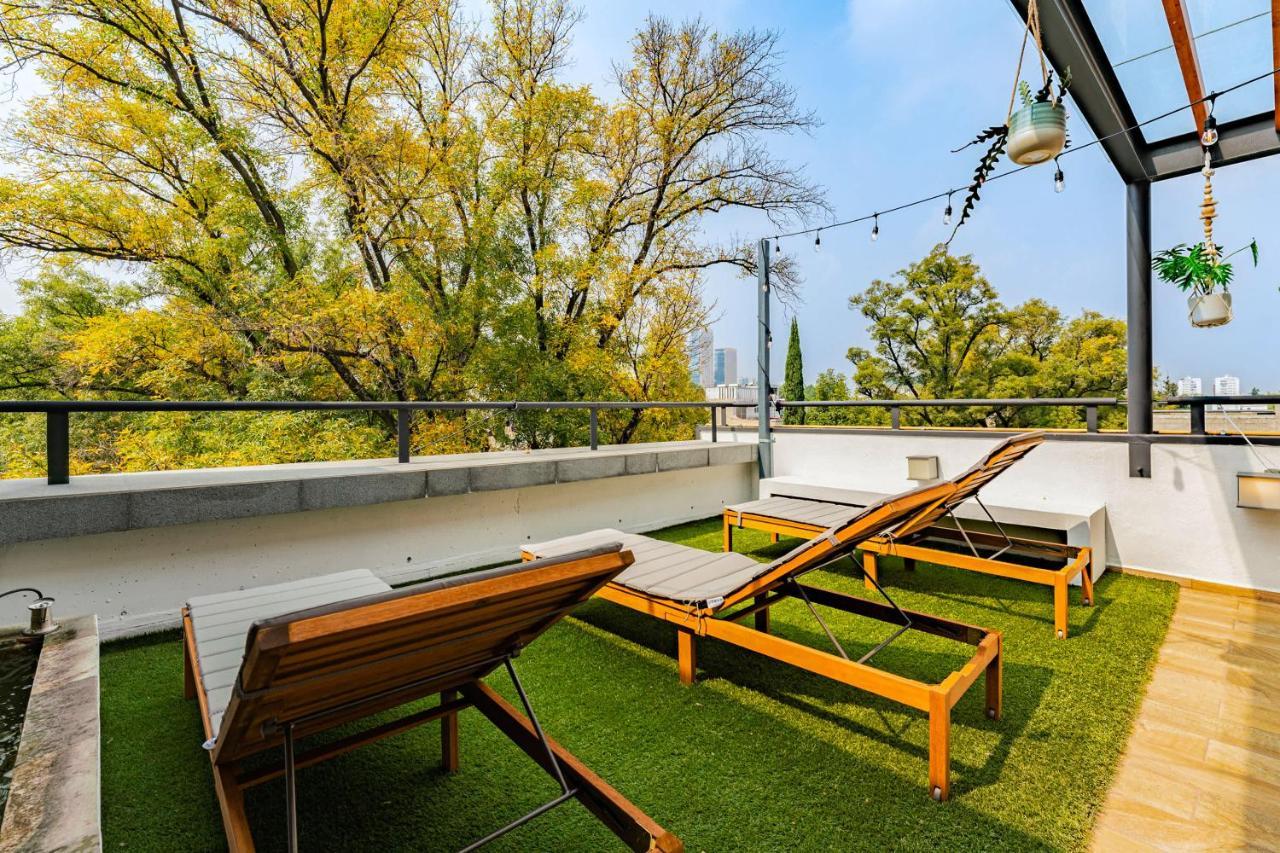 New Polanco Penthouses Roof Terrace And 24h Security Apartment