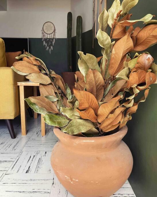 ¡bienvenido A Olivo! Apartment Mexico City