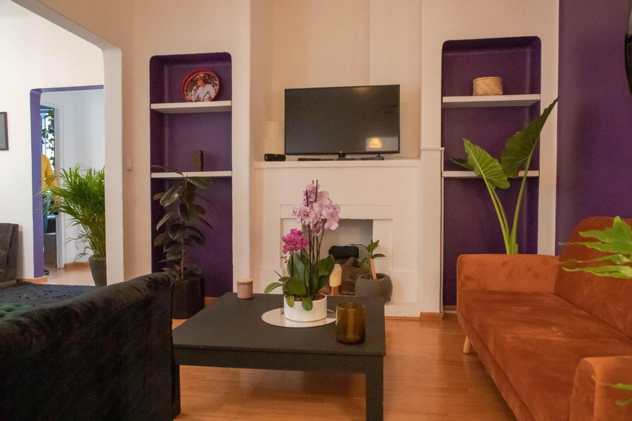 Panal Studio. Interior Design Spot In Roma Norte * Mexico City