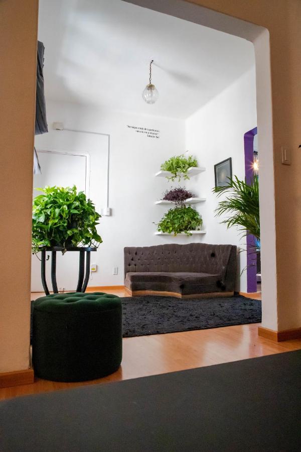 Panal Studio. Interior Design Spot In Roma Norte