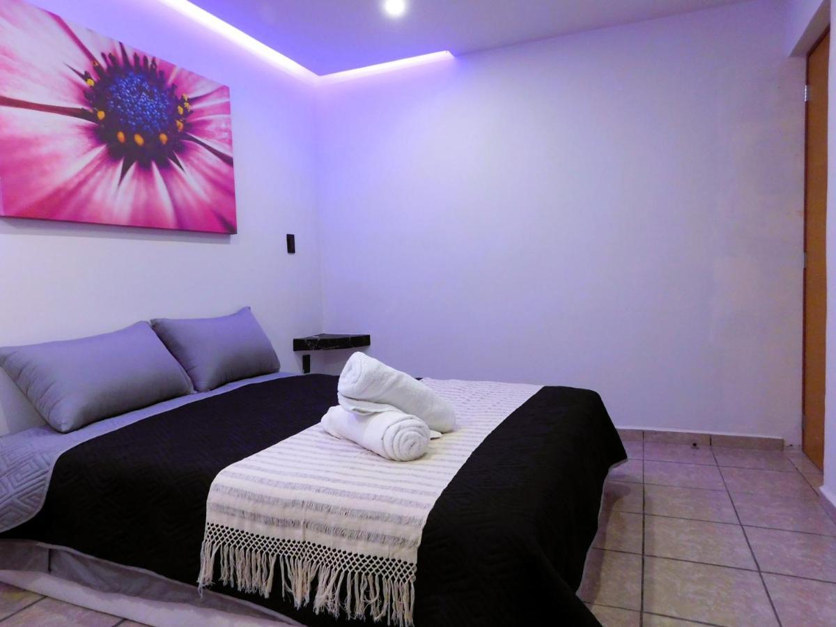 Apartment Depa Privado Estadio Gnp -foro Sol-, Palacio De Deportes Mexico City