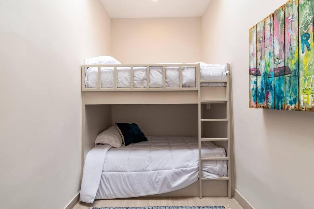 Lovely Loft In The Area Of Coyoacan Apartment