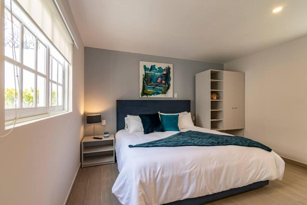 Lovely Loft In The Area Of Coyoacan Mexico City