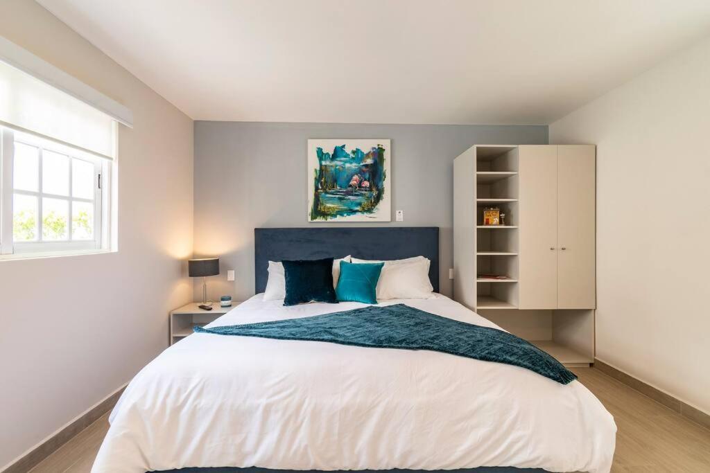 Lovely Loft In The Area Of Coyoacan
