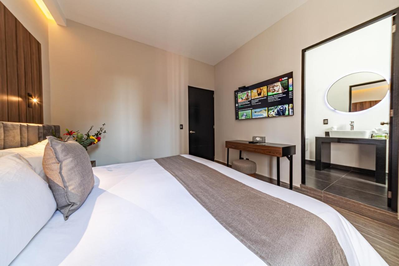 Hotel Casa Nou 3*