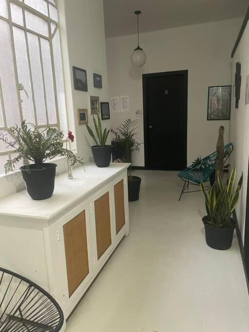 C3 Cuarto Con Patio Condesa Amsterdam Homestay *
