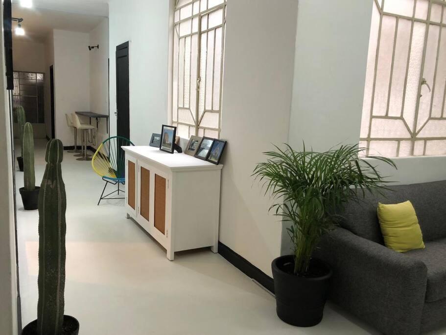 Homestay C3 Cuarto Con Patio Condesa Amsterdam