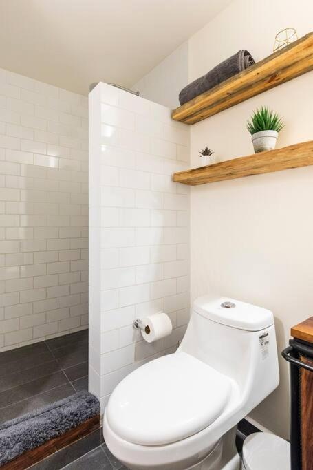 Apartment A Hip Modern Gem In El Centro! Mexico City