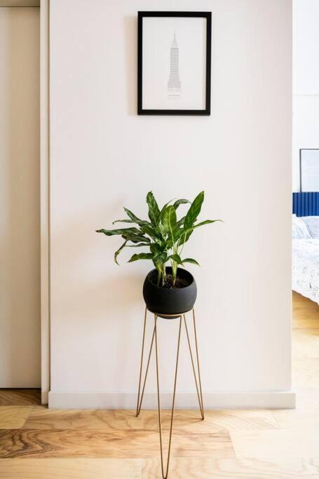 A Hip Modern Gem In El Centro! Apartment