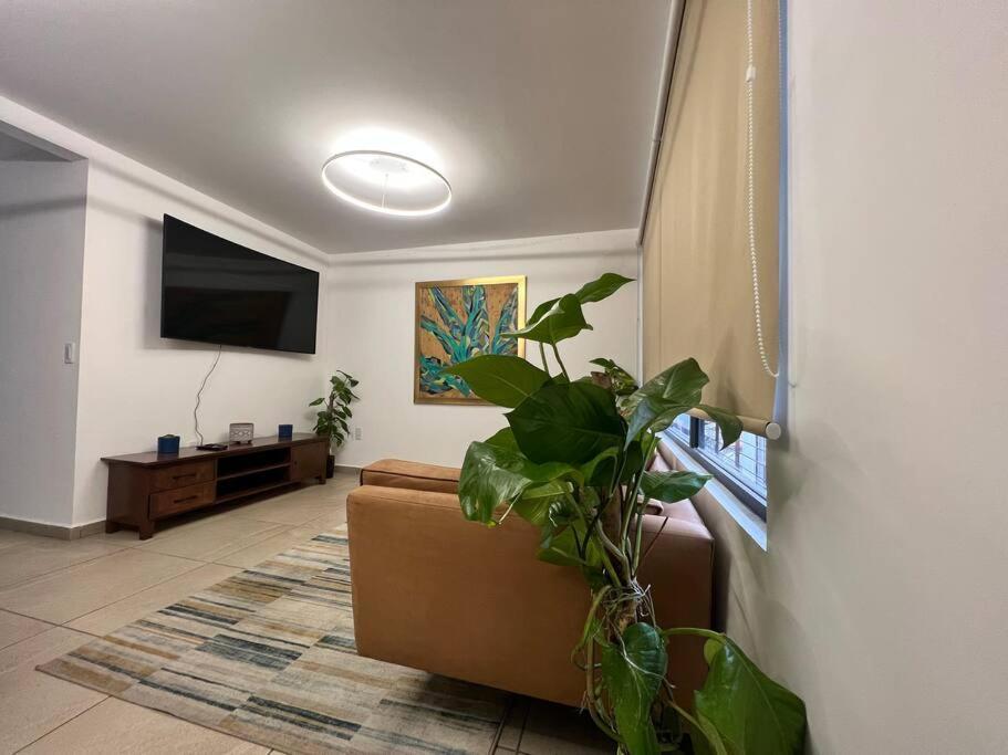 Apartamento Rooftop & México DF