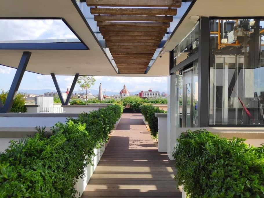 Comfy, Intimate With A Haunting Terrace Apartment Mexico City