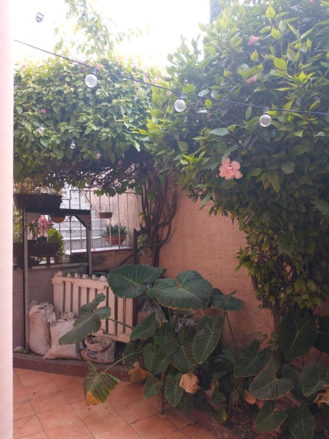 Apartment Relax Mexico City