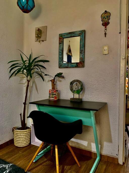 Lovely Cozy & Spacious In Heart Of Condesa Homestay Mexico City