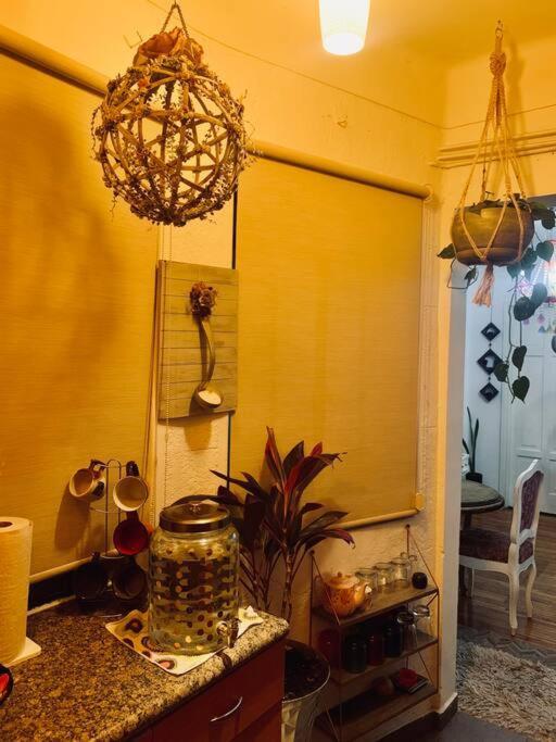 Lovely Cozy & Spacious In Heart Of Condesa Homestay Mexico City