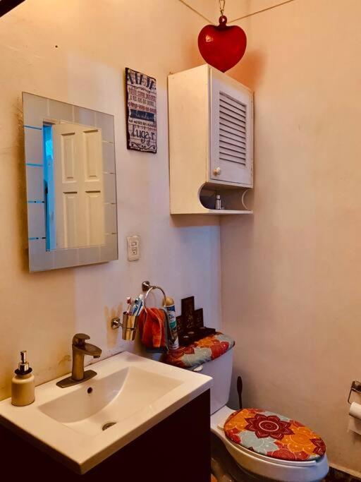 Lovely Cozy & Spacious In Heart Of Condesa *