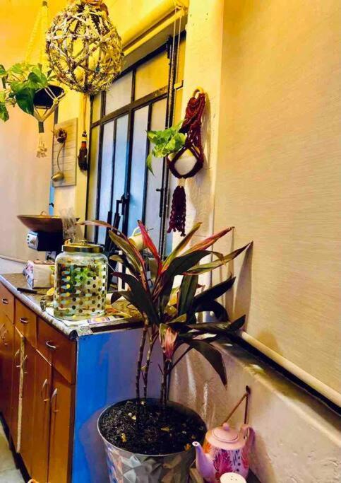 Lovely Cozy & Spacious In Heart Of Condesa *
