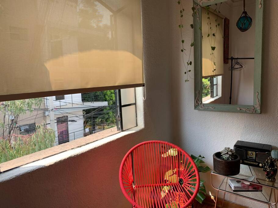 Lovely Cozy & Spacious In Heart Of Condesa Homestay Mexico City