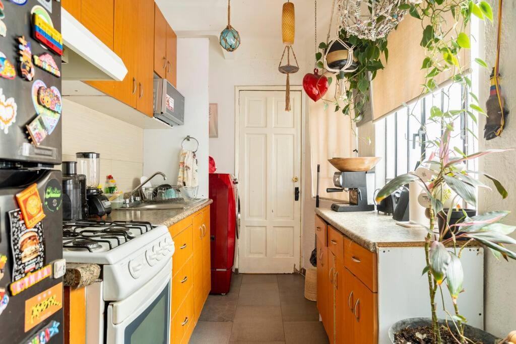 Lovely Cozy & Spacious In Heart Of Condesa Mexico City