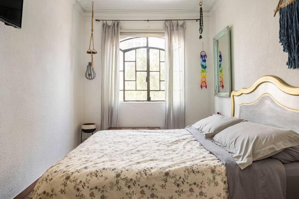 Lovely Cozy & Spacious In Heart Of Condesa Homestay *