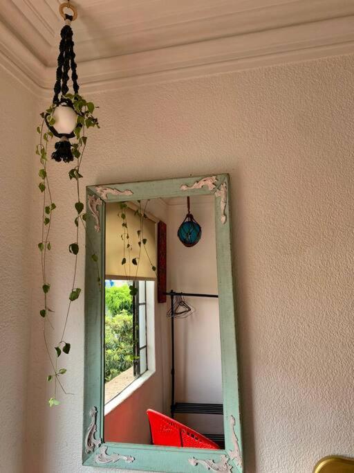 Lovely Cozy & Spacious In Heart Of Condesa * Mexico City