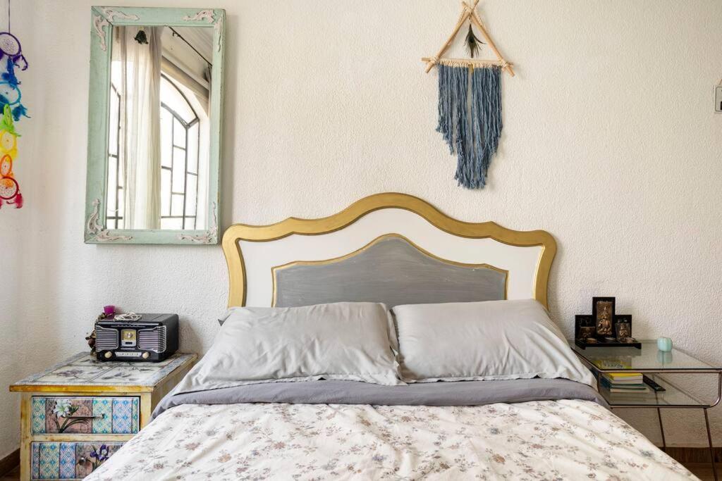 Homestay Lovely Cozy & Spacious In Heart Of Condesa Mexico City