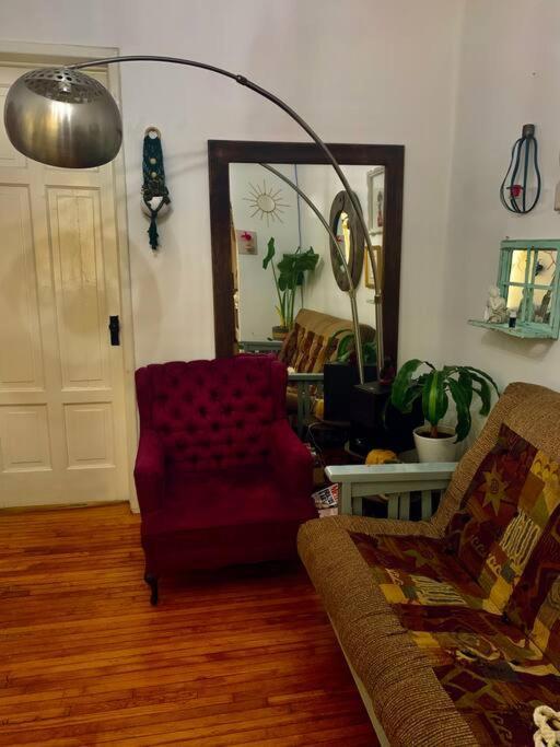 Lovely Cozy & Spacious In Heart Of Condesa Mexico City