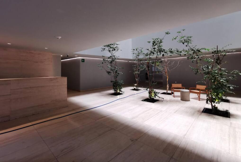 Apartment Luxury In Roma Norte *