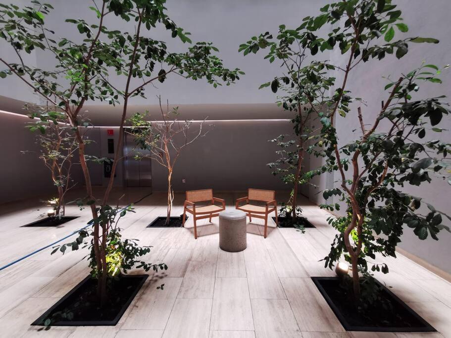 Apartment Luxury In Roma Norte *