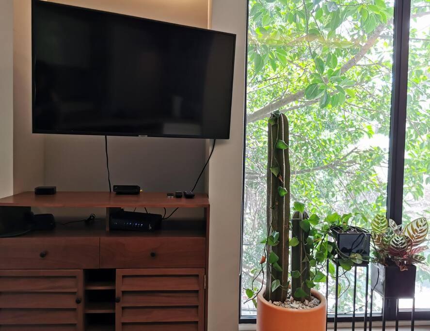 Apartment Luxury In Roma Norte
