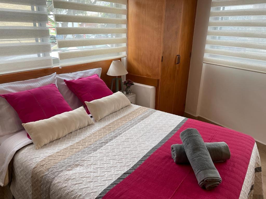 Lofts San Angel Apartment Mexico City