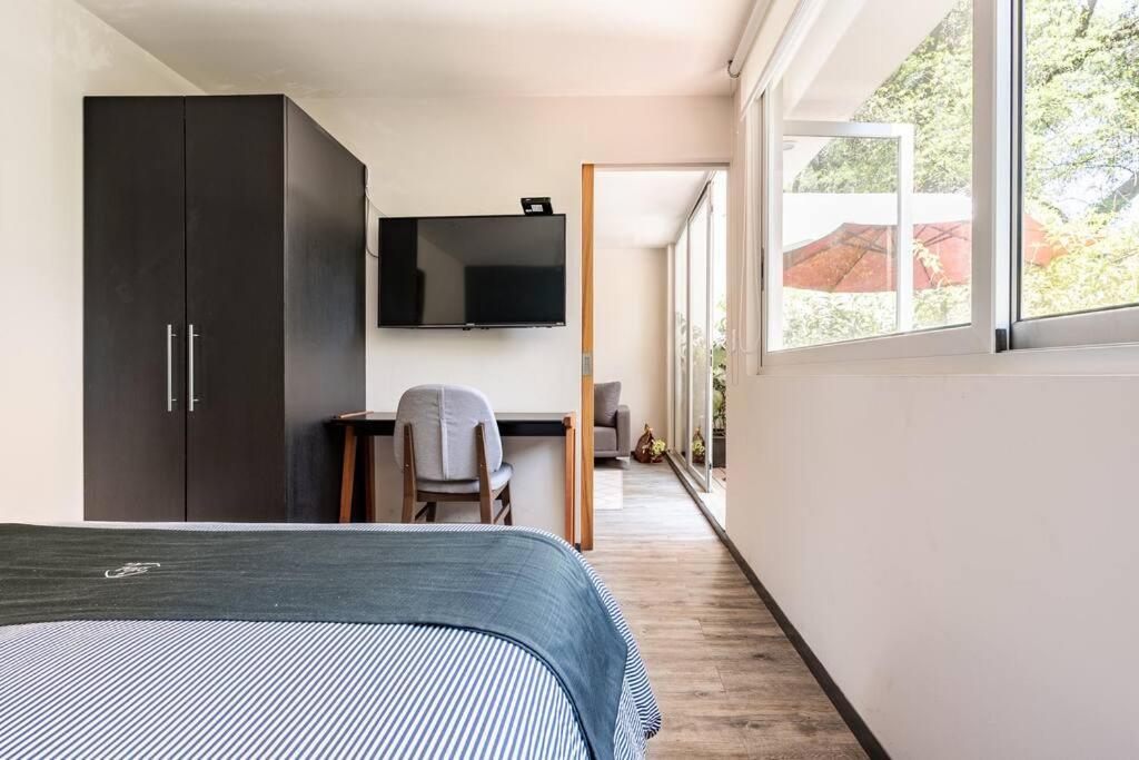 Apartment Loft Con Terraza